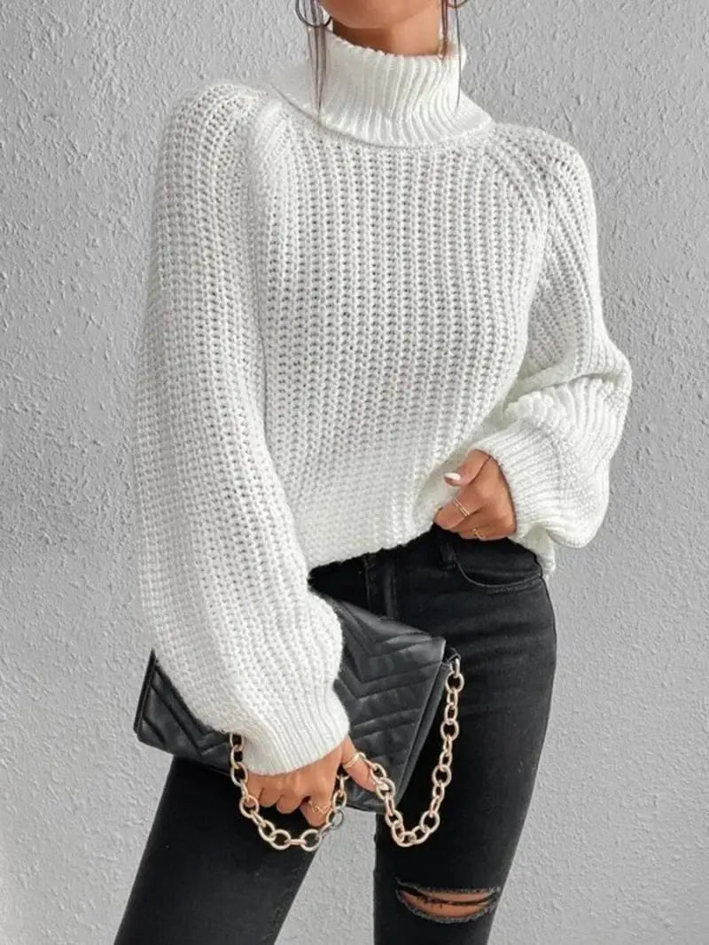 Oversized Knit Turtleneck Pullover Sweater